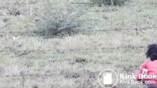 desi girl open shitting in field