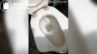 Desi aunty scat in toilet