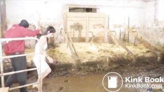Manure Fun