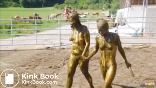 Manure Fun
