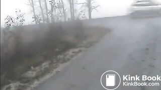 Dupla para na estrada pra fazer cocô