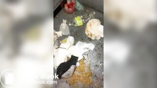 BUSCO CHICA/MUJER PARA PROBAR EL SCAT EN ESPAÑA