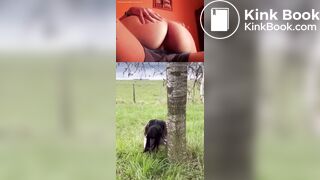 My contribution: influencer sex and poop compilation