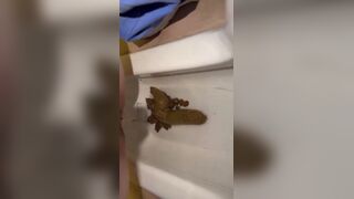 jp poop - video 35