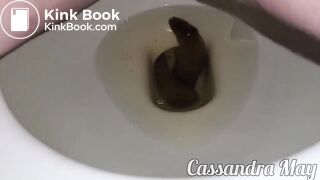 Top model pooping on toilet