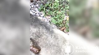 BBW thick log