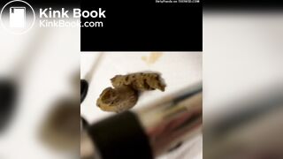 Scat Compilation ... my slave