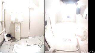 Toilet - video 315