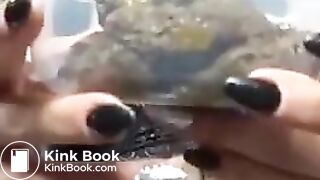 Caga nella ciotola