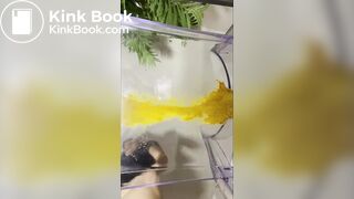 Chair poop - video 9