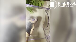 Chair poop - video 9
