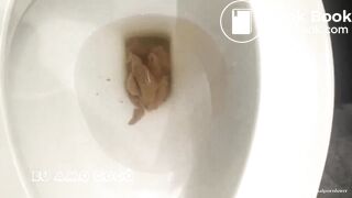 Hot Babe Fingering her Dirty Ass on the Toilet