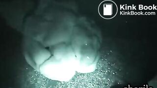 Japanene outdoor poop