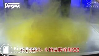 Jap scat 2 - video 3