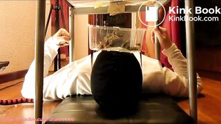 Femdom Scat-Multiple Goddesses
