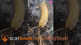 Big turd in public!