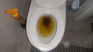 diarrhea on toilet - video 3