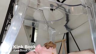 Beauty and the beast - video 2