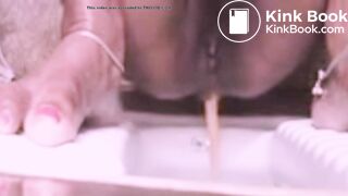 scat,pooping,shitting,potty,Poop,Shit,Scatting,Toilet.