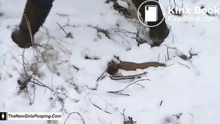 Snow log