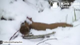 Snow log