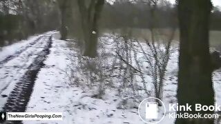 Snow log