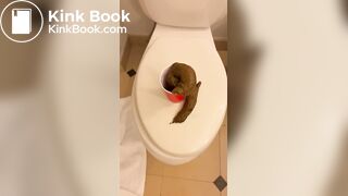 Becca shits in a cup for cash