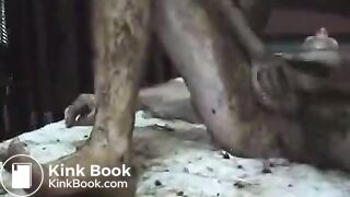 Honey Bee Scat Sex