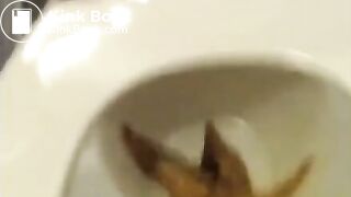 She needed to defecate