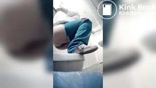 Pooping on a public toilet one view