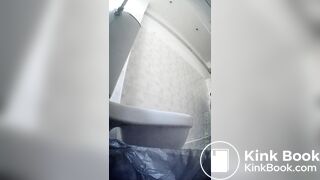 Pooping on a public toilet one view