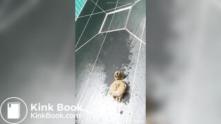 Girl shitting in the shower - video 2