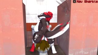 Female Shark Hyperscat