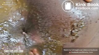 RARE FOOTAGE - Lucky Fan fucks her Ass & Eat her Shit - video 2