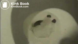 Classic toilet mix
