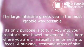 Waking up as Meat - Vore Scat