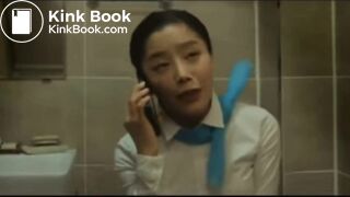 flight attendent pooping in public toilet