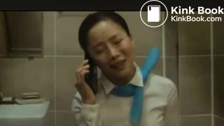 flight attendent pooping in public toilet