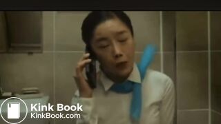 flight attendent pooping in public toilet