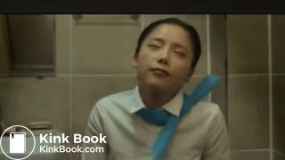 flight attendent pooping in public toilet