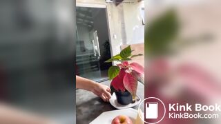 PRÉVIA Café da manhã