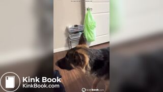 Girl pooping on the toilet with her dog