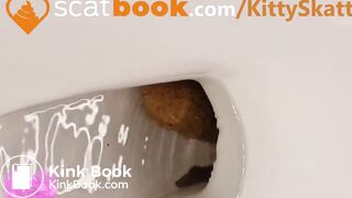 Poop on poop toilet trouble
