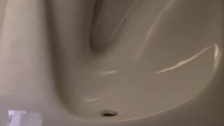 Really long evening poo, large load