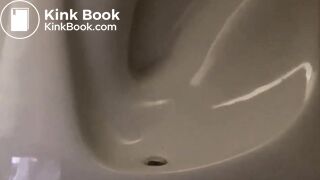 Really long evening poo, large load