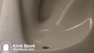 Really long evening poo, large load