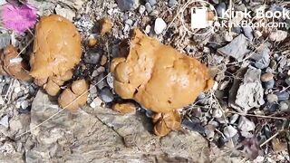 One of my favorite scat girl shitting outdoors - video 3