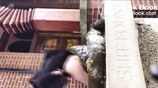 Lady takes a shit on the “shit fountain”