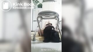 国产黄金调教