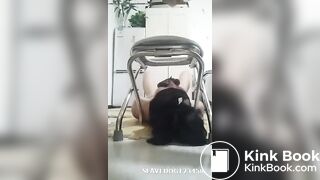 国产黄金调教